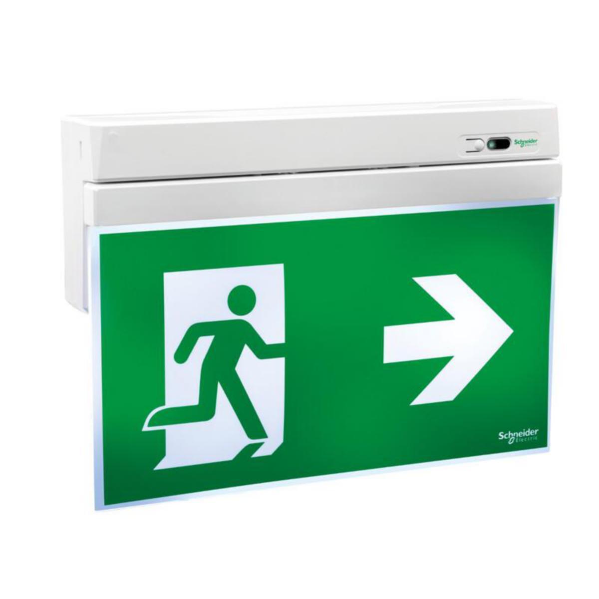 Opastevalaisin Schneider Electric Exiway Smartexit - OPASTEVALAIS. EXIWAY SMARTEXIT IP40 ACTIVA 32M OPASTE 3H
