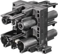 Haaroitin Bachmann Wieland