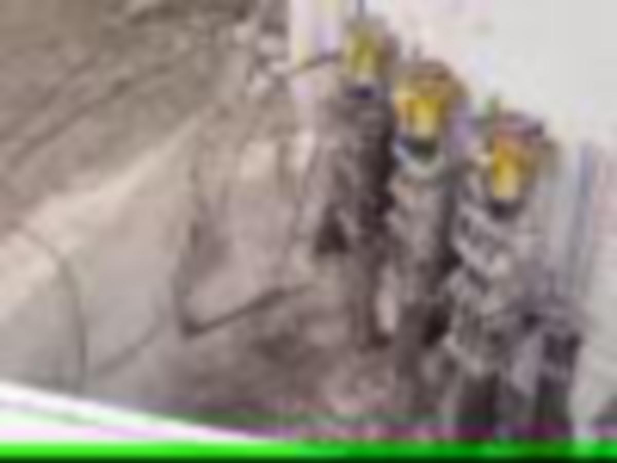 https://www.youtube.com/watch?v=/external-assets/JPEGlarge800_800/04/95/ProductImage76910495.jpg