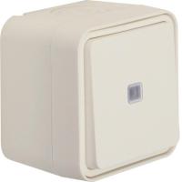 Vipupainike Hager W.1