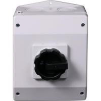 Turvakytkin väännin Sontheimer