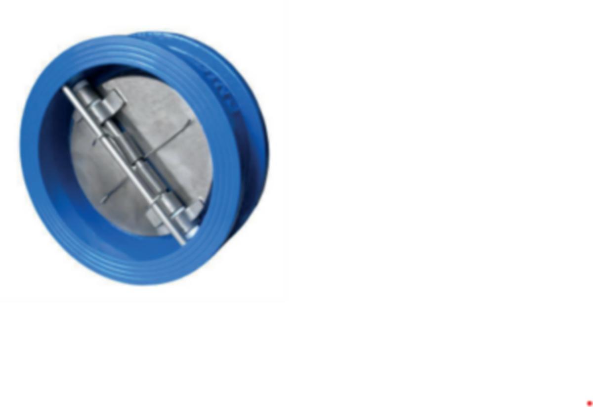 Kaksoisläppätakaiskuventtiilit valurauta - KAKSOISLÄPPÄTAKAISKUVENTTIILI DN40 PN16, GGG40/SS316/EPDM