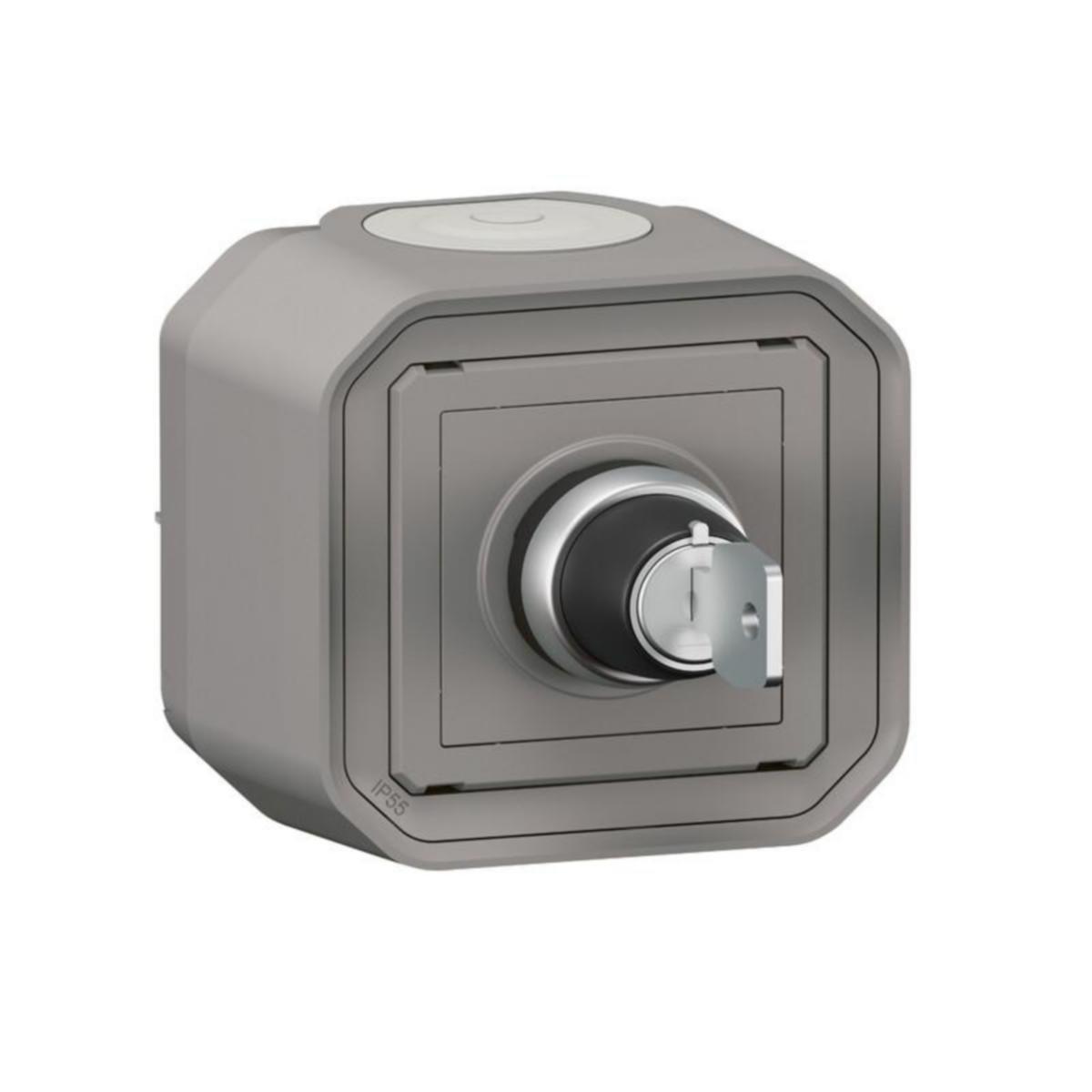 Painike Legrand Plexo - PAINIKE PLEXO 069738L