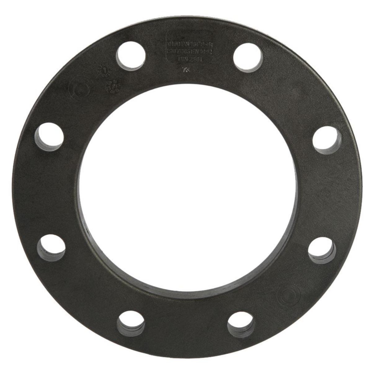 Irtolaippa PP-pinnoitettu AVK Fusamatic - IRTOLAIPPA, PP-PINNOITETTU D200/DN200, PN10