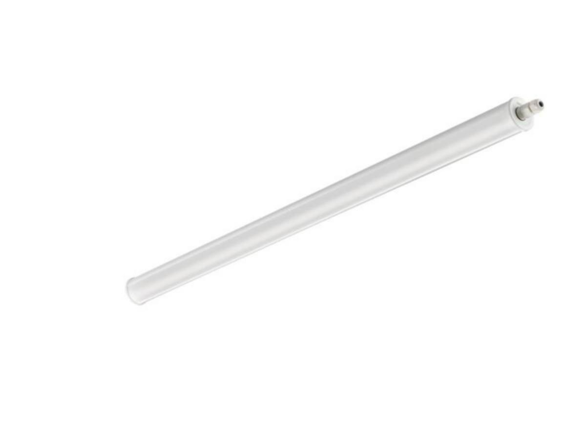 Runkovalaisin Philips CoreLine Tubular Waterproof - RUNKOVALAISIN CORELINE WATERPR 5000LM 840 L1200 IP69K 1LJ. D