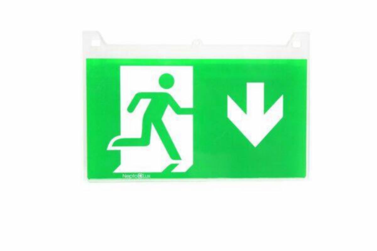 Turvavalaisin Neptolux N40GR Opastemuovi - TURVAVALAISIN N40GR-D1,OPASTEMUOVI 40M ALAS