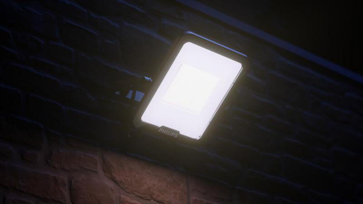 /external-assets/JPEGlarge800_800/23/62/ProductImage81292362.jpg
