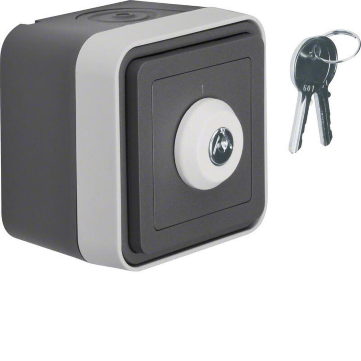 Kytkin Hager W.1 pinta 6, avainkytkin - KYTKIN W.1 6/10A/IP55 LUK. PPR HAR