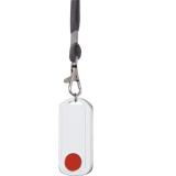 Painike Eltako FMH1W