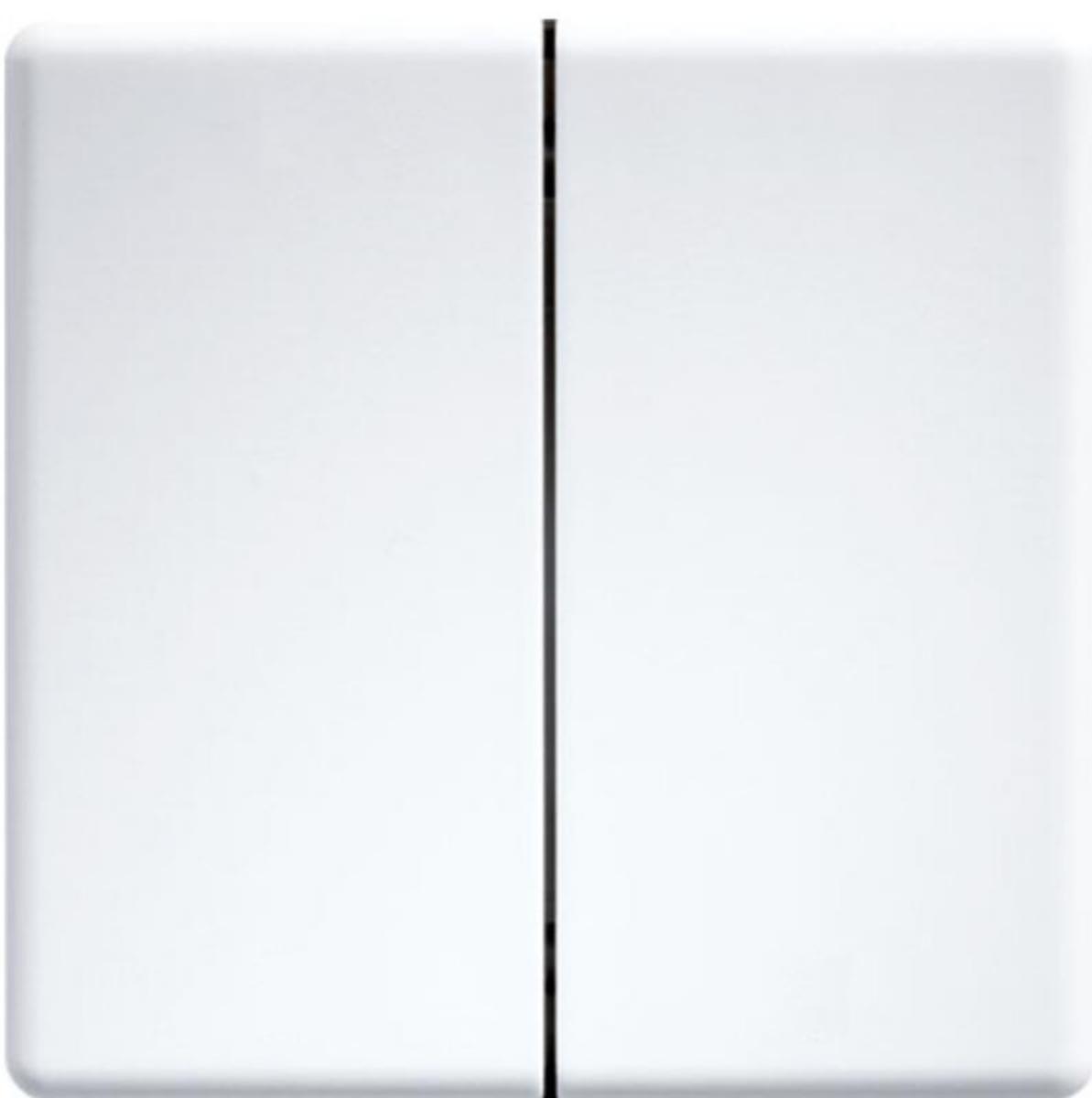 Painike Eltako FT55-WG - PAINIKE DW-FT55-WG