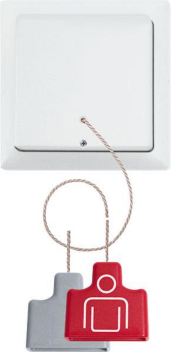 Painike Eltako FZS65-wg - PAINIKE LANGATON ENOCEAN FZS65-WG