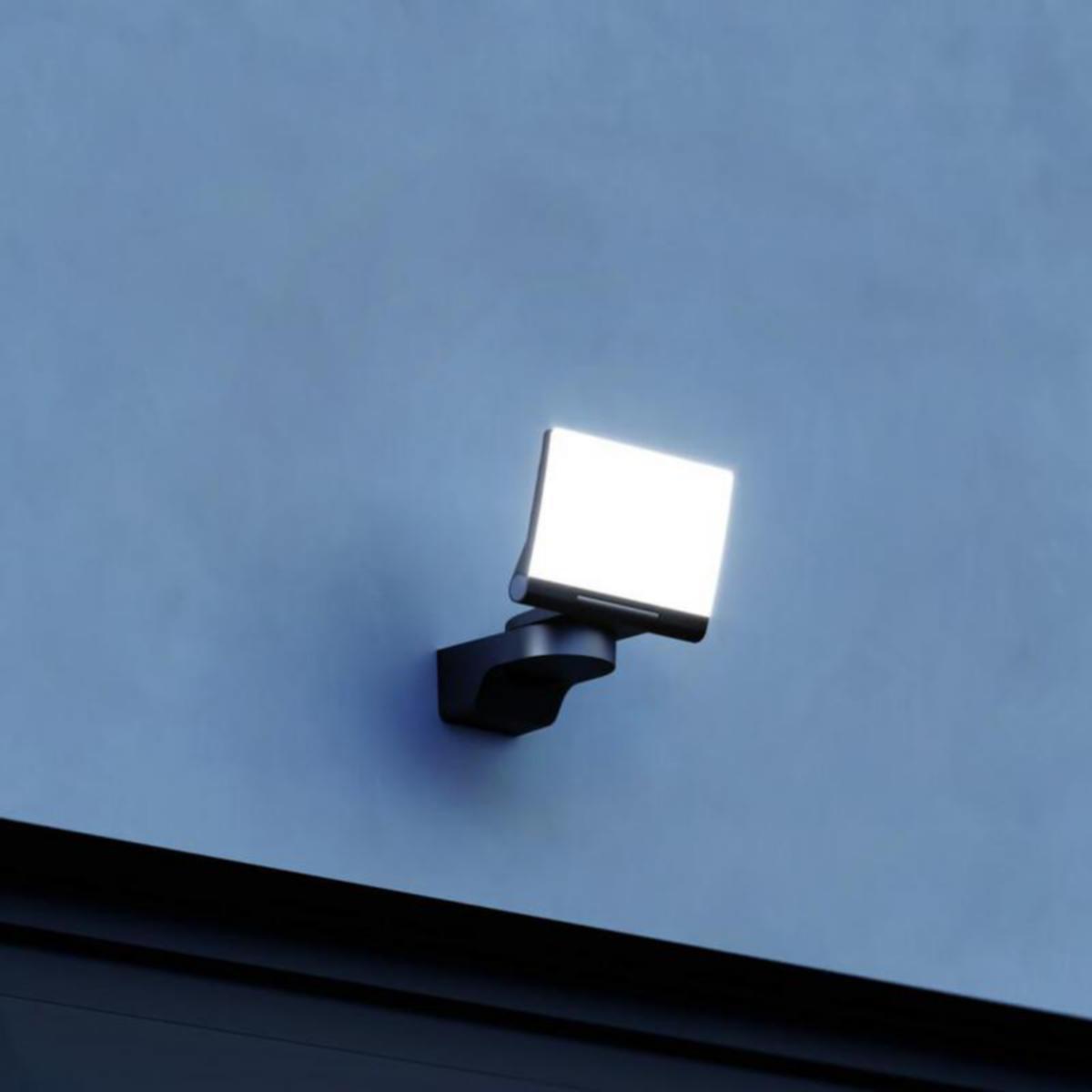 https://www.youtube.com/watch?v=/external-assets/JPEGlarge800_800/31/66/ProductImage77713166.jpg