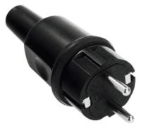 Pistotulppa Bachmann