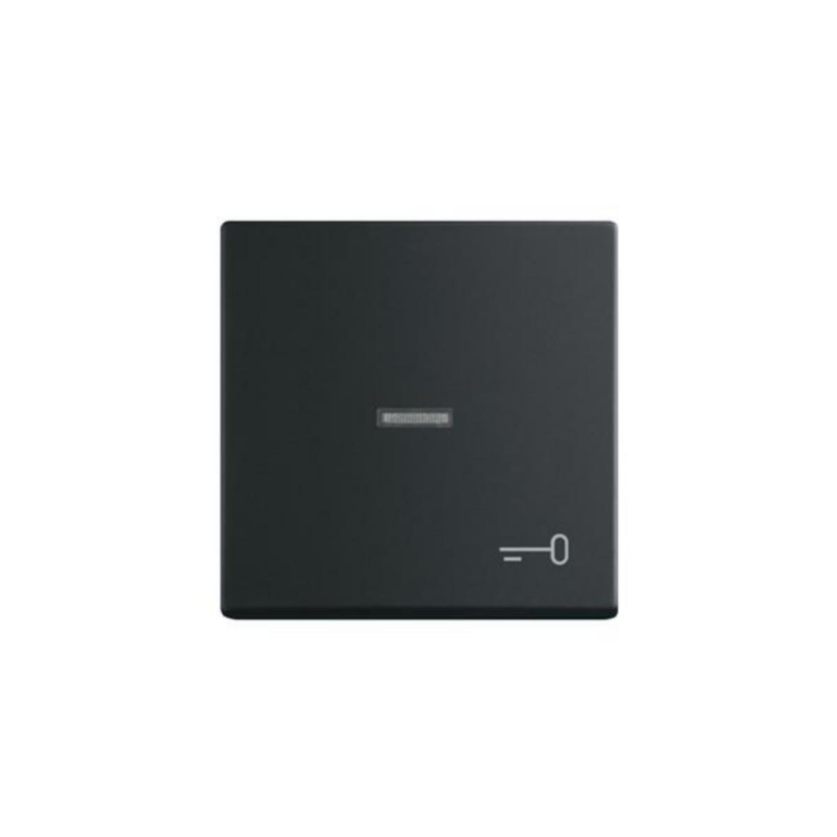 Vipu ABB Impressivo kirkkaalla linssillä ja avain merkinnällä - VIPU IMPRESSIVO VIPU1/IP21 LI "AVAIN" MUS