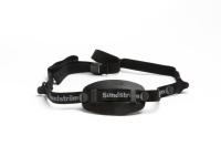 Päänauhasto Sundström