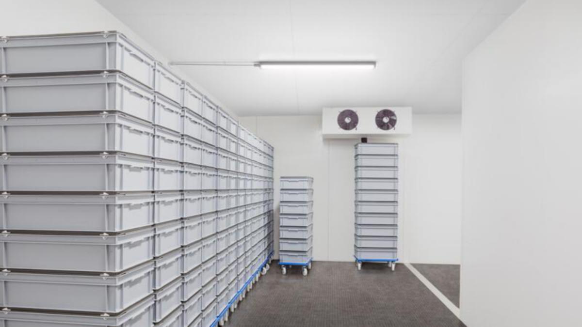/external-assets/JPEGlarge800_800/43/99/ProductImage78134399.jpg