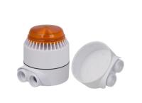 Sireeni Fulleon Flashni XE