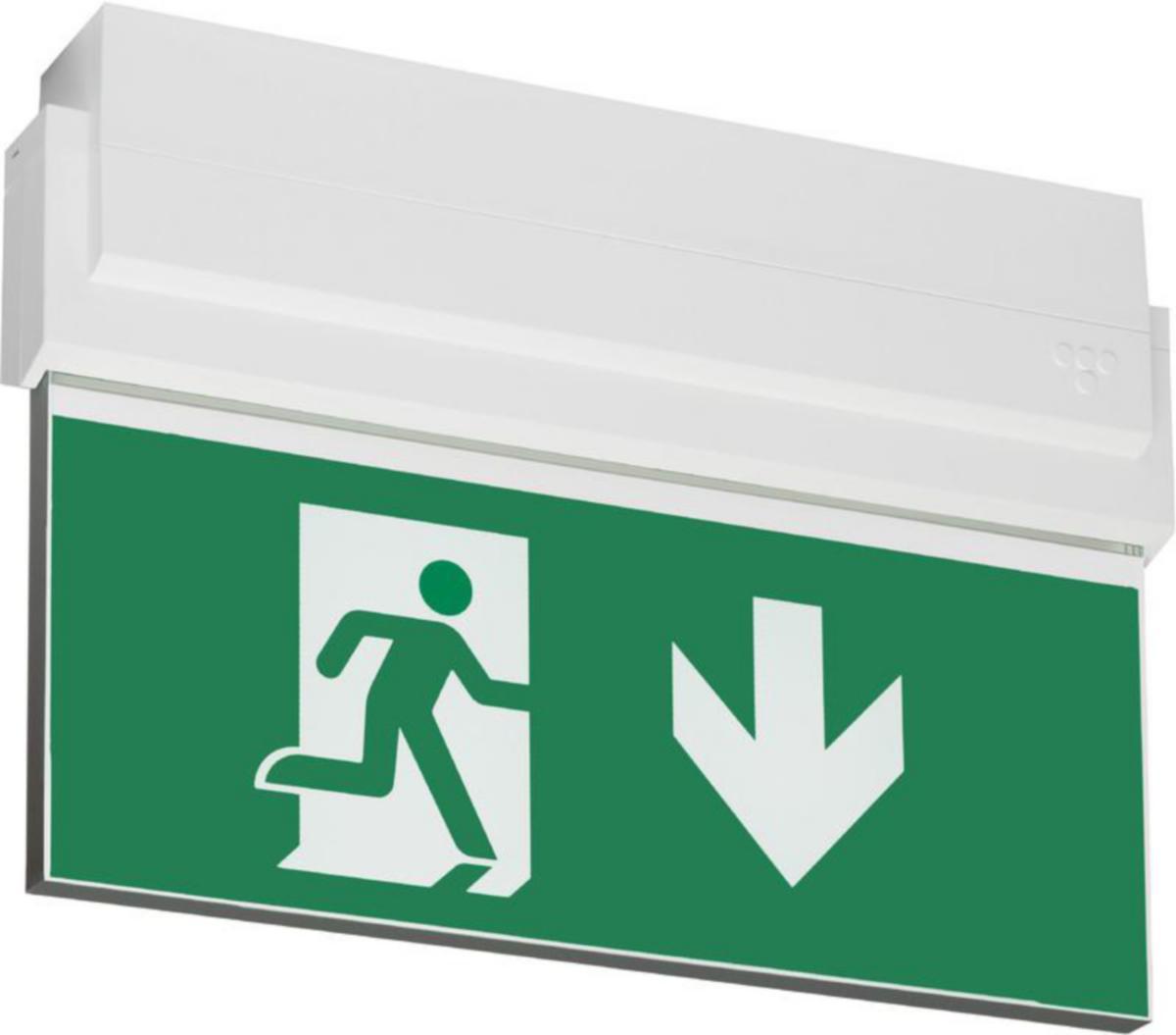 Opastevalaisin Teknoware Opas 80 - OPASTEVALAISIN OPAS 80 TWT8041WK 24VAC/DC IP44