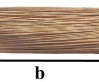 Sidontalanka kuparoitu