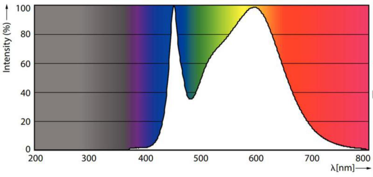 /external-assets/JPEGlarge800_800/56/65/ProductImage81295665.jpg