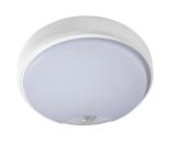 Kattovalaisin Robus Ohio