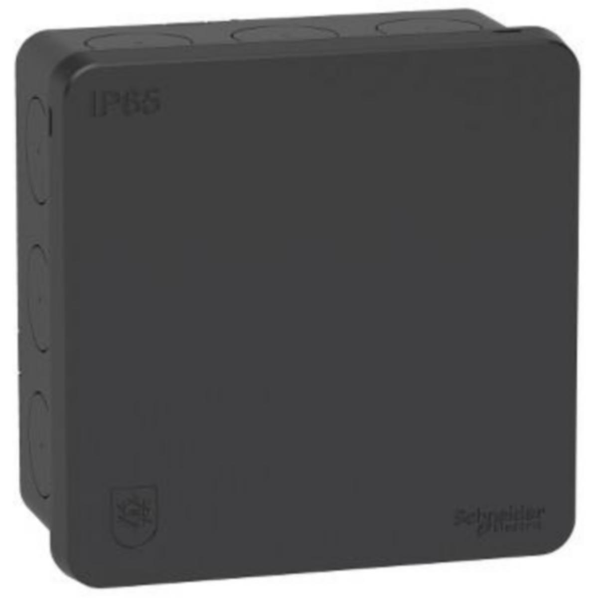 Pintajakorasia Schneider Electric Mureva – Kuluttajapakkaus (DIY) - KALVOJAKORASIA MUREVA 88x88x39mm ANT IP65