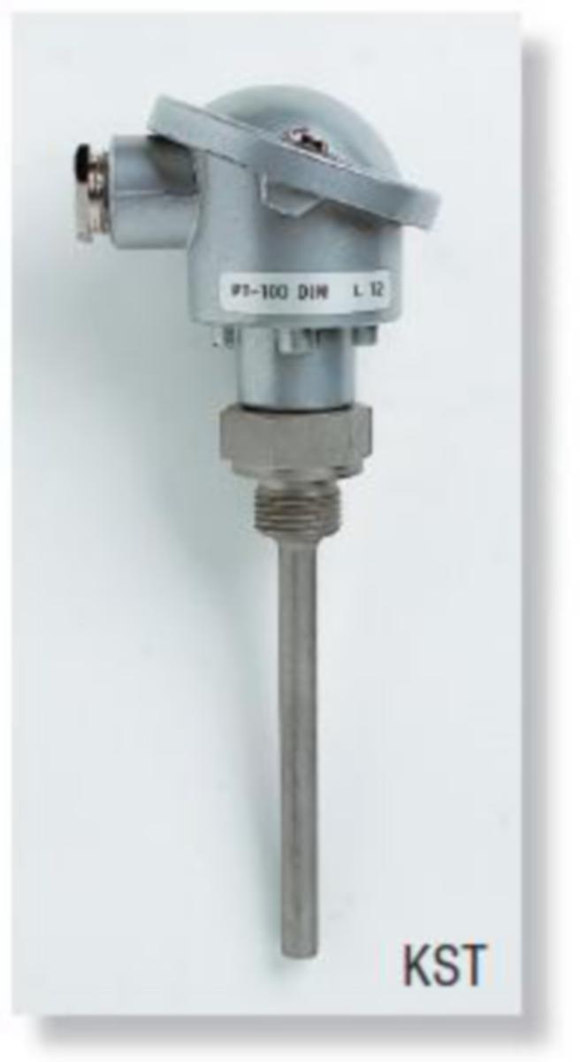 Lämpötila-anturit Termotech PT100 - LÄMP-ANT PT100 DIN-B TERMOTECH KST250 10X250MM R1/2