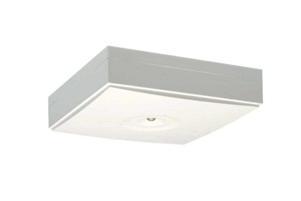 Turvavalaisin Teknoware Zonespot II Lowbay, pinta-asennus, yksittäispakattu - TURVAVALAISIN TEKNOWARE ZONESPOT II Y9271W 24-230V