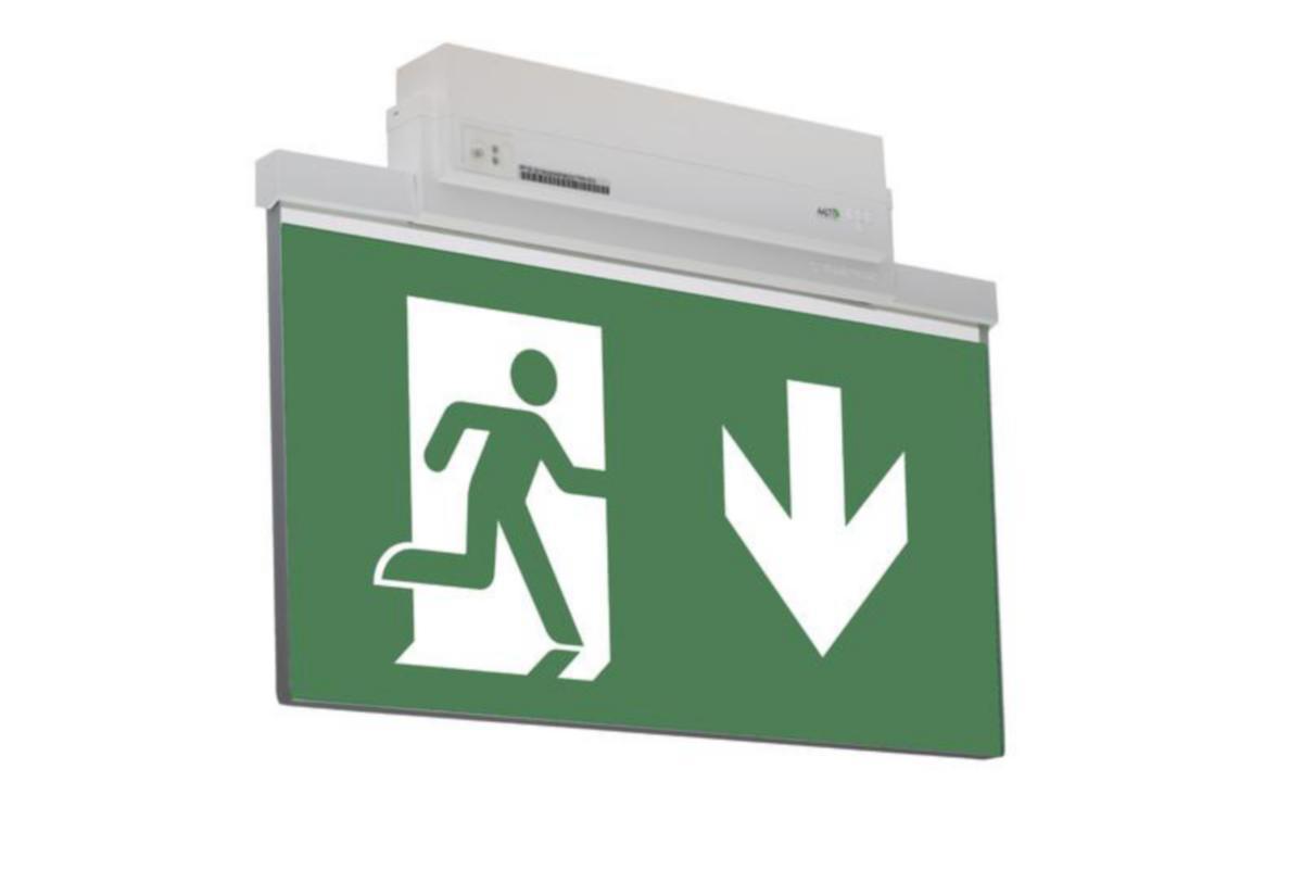 Poistumistievalaisin Teknoware Opas 81, ilman opasteita - OPASTEVALAISIN TEKNOWARE TWT8153WM 230VAC LED