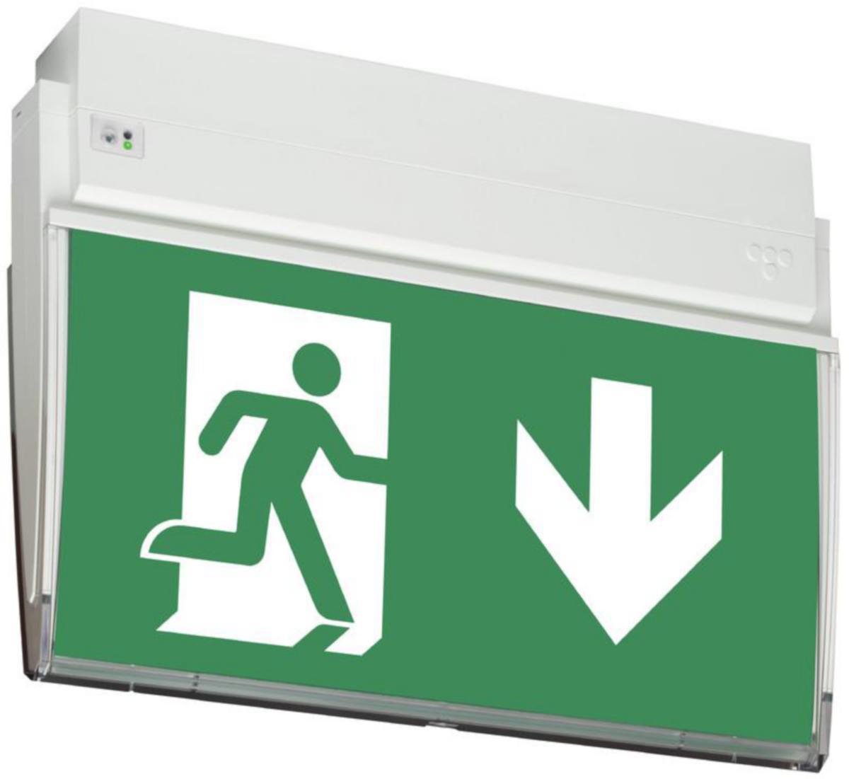 Poistumistievalaisin Teknoware Opas 90, sis. opastesetin - OPASTEVALAISIN TEKNOWARE OPAS 90 Y9053WA120 230V YKSPAK