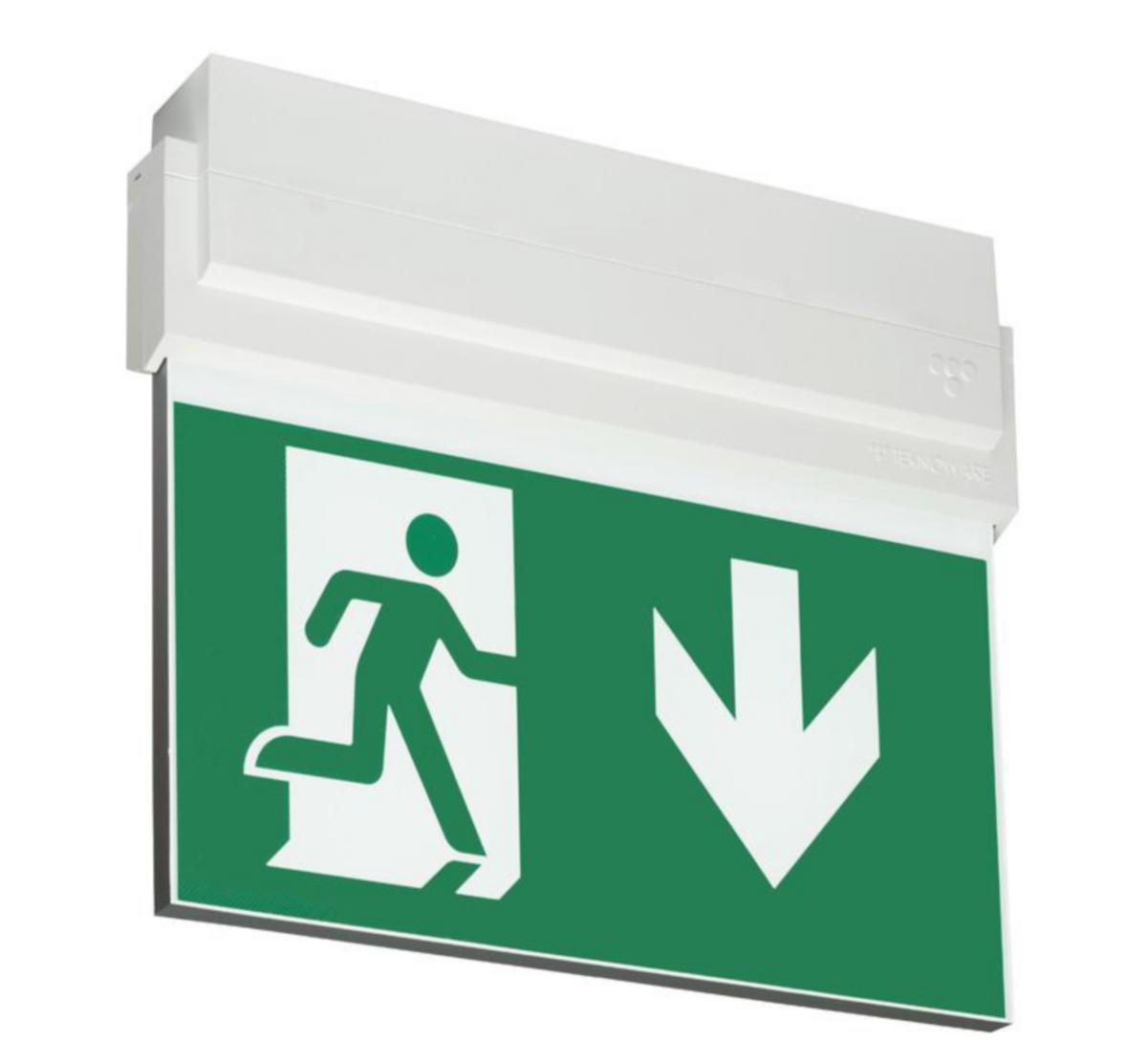 Poistumistievalaisin Teknoware Opas 80, sis. opasteet, 2-puoleinen, nuoli alas, 30m - OPASTEVALAISIN TEKNOWARE OPAS 80 Y8041W145 30M