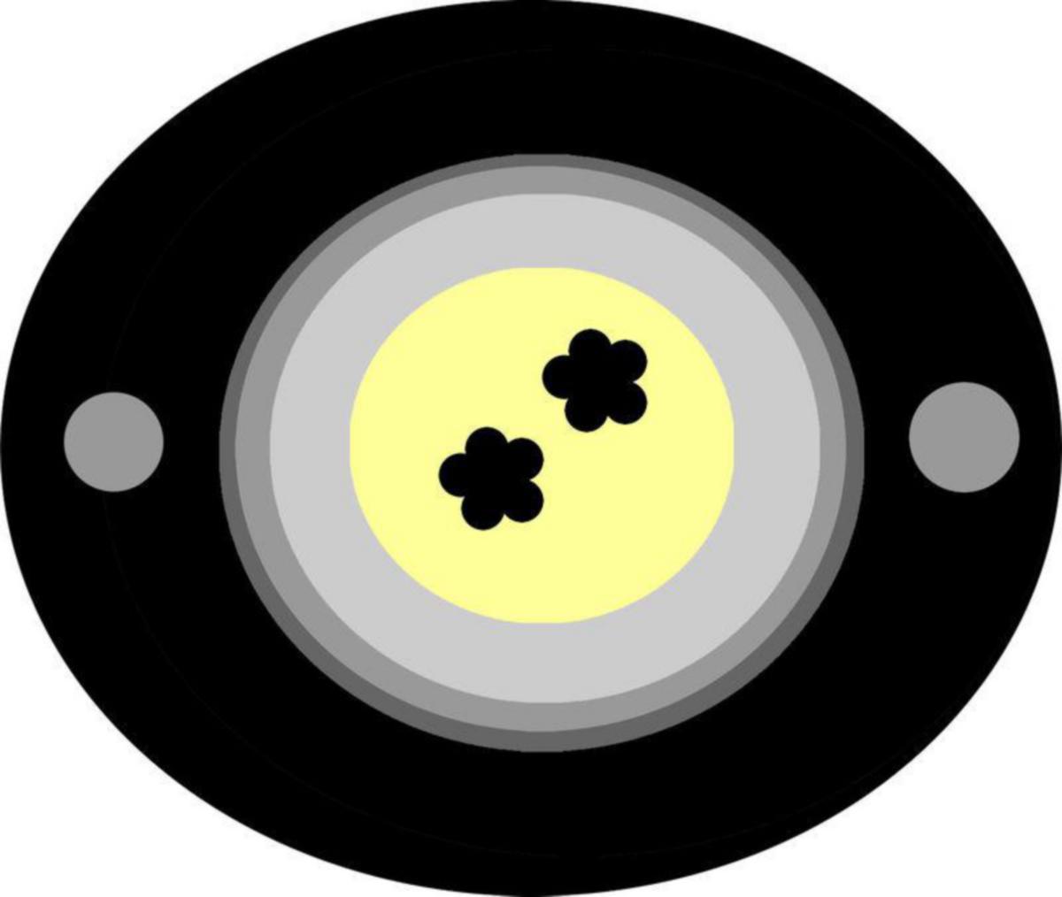https://www.youtube.com/watch?v=/external-assets/JPEGlarge800_800/66/48/ProductImage83516648.jpg