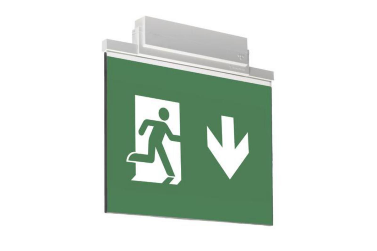 Poistumistievalaisin Teknoware Opas 81, sis. opasteet, 2-puoleinen, nuoli alas, 60m - OPASTEVALAISIN TEKNOWARE OPAS 81 Y8141W165 24V 60M