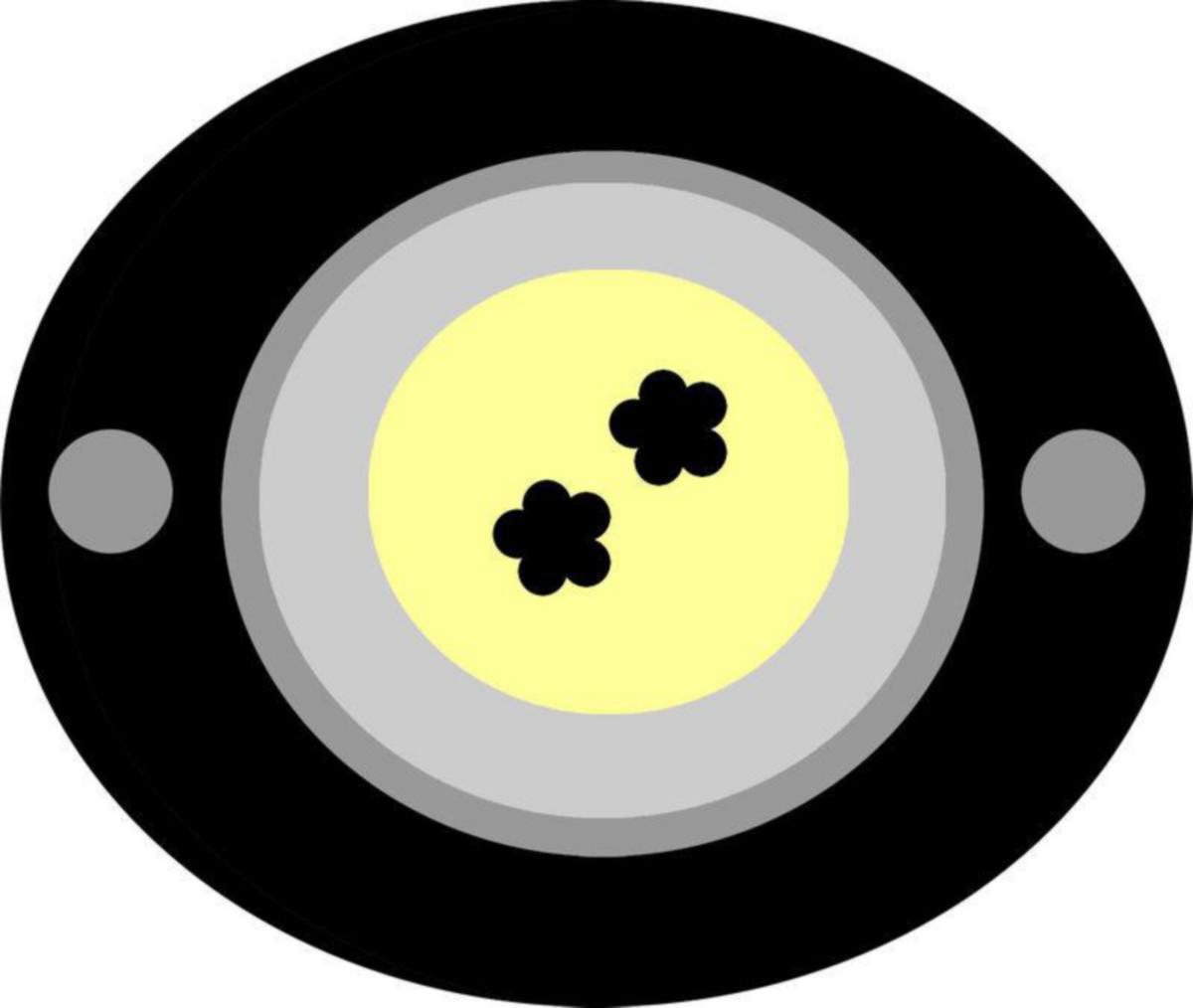 https://www.youtube.com/watch?v=/external-assets/JPEGlarge800_800/66/67/ProductImage83516667.jpg