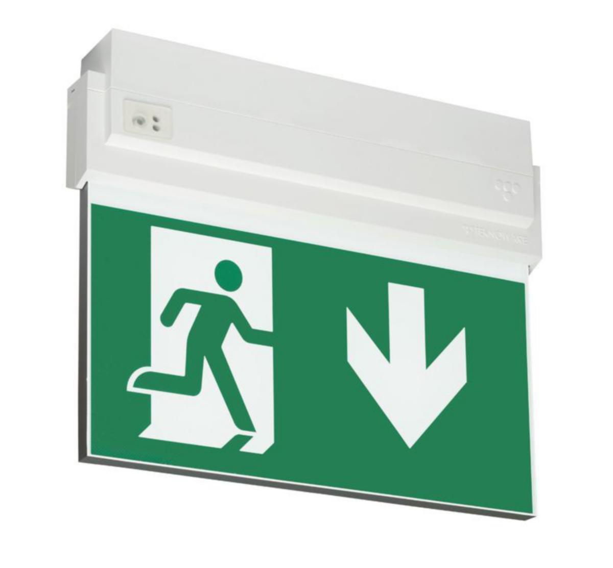 Opastevalaisin Teknoware Opas 80 alas - OPASTEVALAISIN OPAS 80 Y8092WA109 230VAC 20M ALAS 1-P