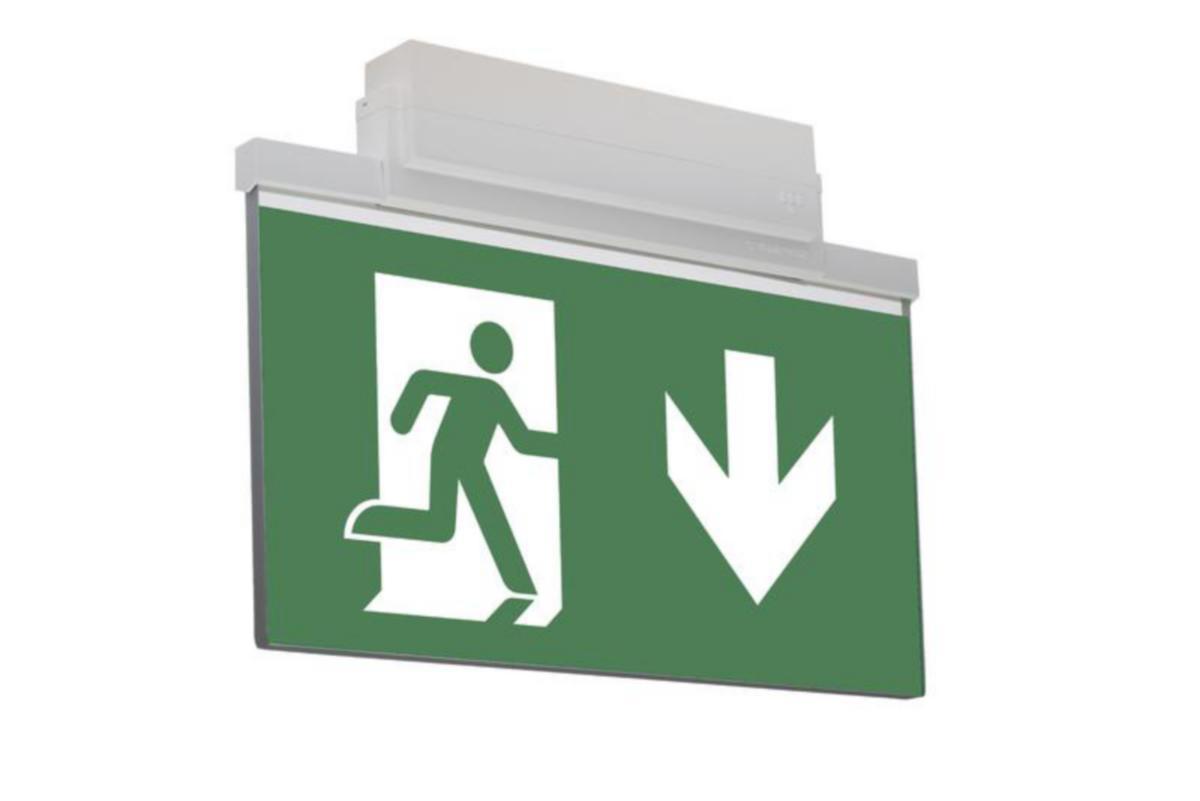 Poistumistievalaisin Teknoware Opas 81, sis. opasteet, 2-puoleinen, nuoli alas, 40m - OPASTEVALAISIN TEKNOWARE OPAS 81 Y8141W155 40 M