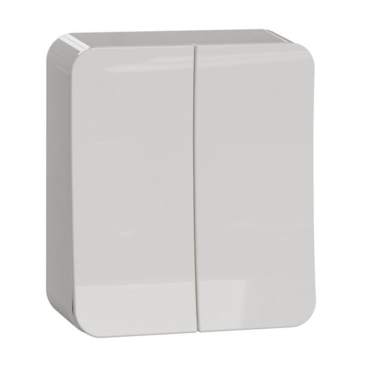 Kaksivipuinen kytkin Schneider Electric Exxact - KYTKIN EXXACT 5/16A/IP21 PPJ 2X VAL