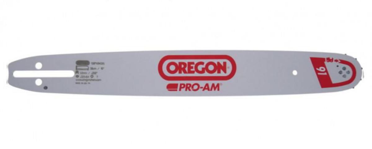 Moottorisahan laippa Oregon - MOOTTORISAHAN LAIPPA OREGON 12" 3/8 1.3 MM