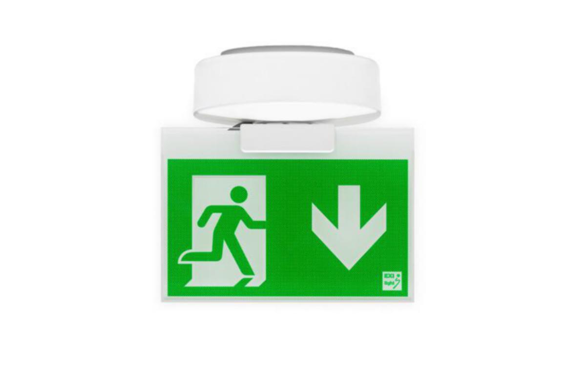 Poistumistievalaisin Exilight ELX - POISTUMISTIEVALAISIN ELX ELX-1L-O 230V AC/DC