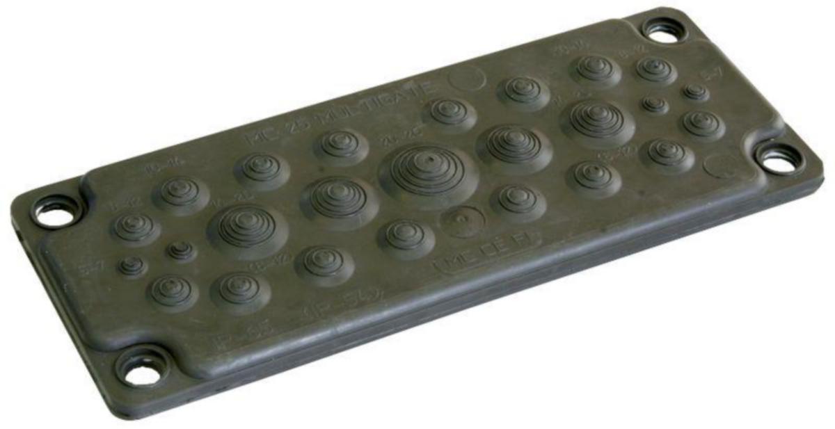 Läpivientilaippa Schneider Electric Universal Enclosures FL21 multilaippa - LÄPIVIENTILAIPPA UNIV.ENCLOSUR FL21 MULTILAIPPA 35 AUKKOA