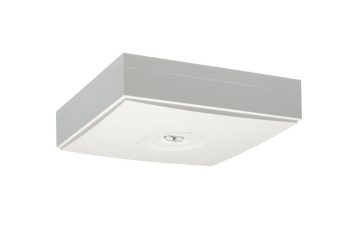 Turvavalaisin Teknoware Linespot II Lowbay, pinta-asennus, yksittäispakattu - TURVAVALAISIN TEKNOWARE LINESP II TWT9952WM 230V 1H YP