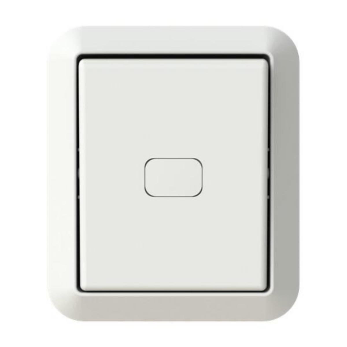 Painike ABB Kosti - PAINIKE KOSTI 6/10A/250V/IP44 PPJ 1N LI VAL