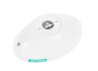 Turvavalaisin Exilight LED-2T