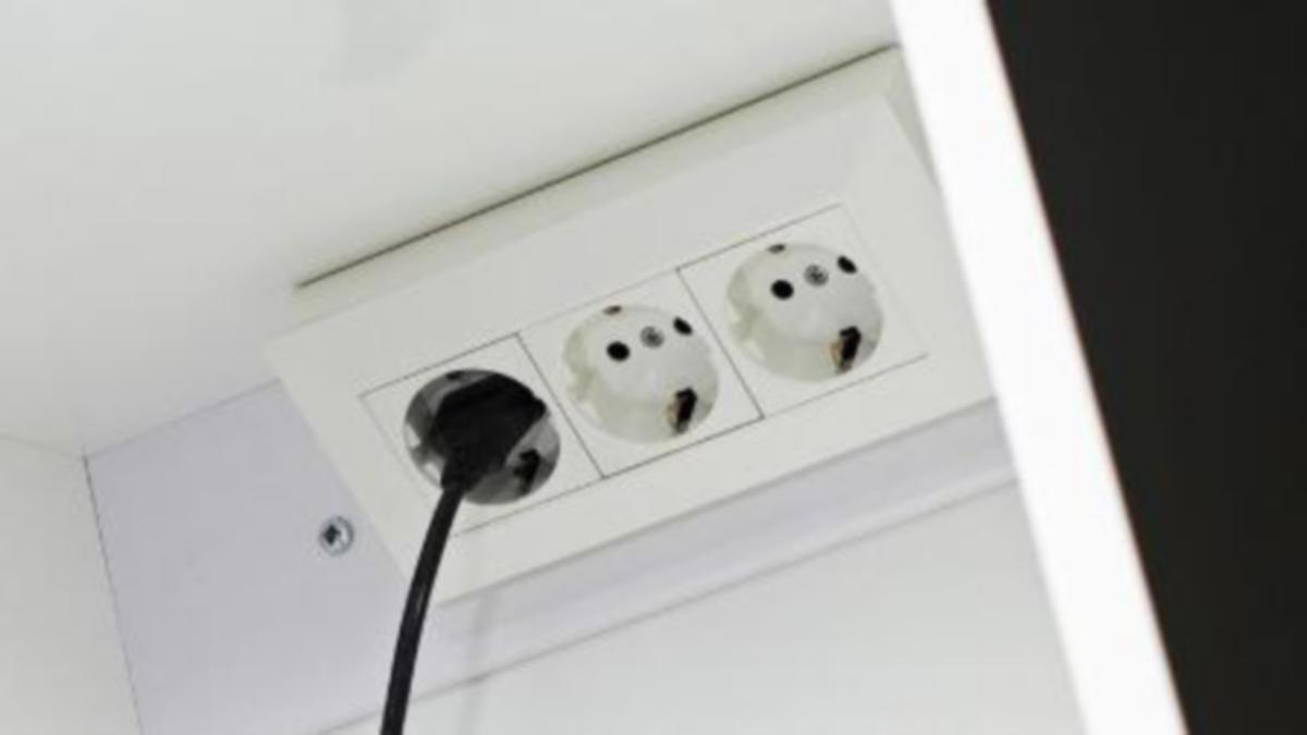 Pistorasia Svedbergs - PISTORASIA VALKOINEN