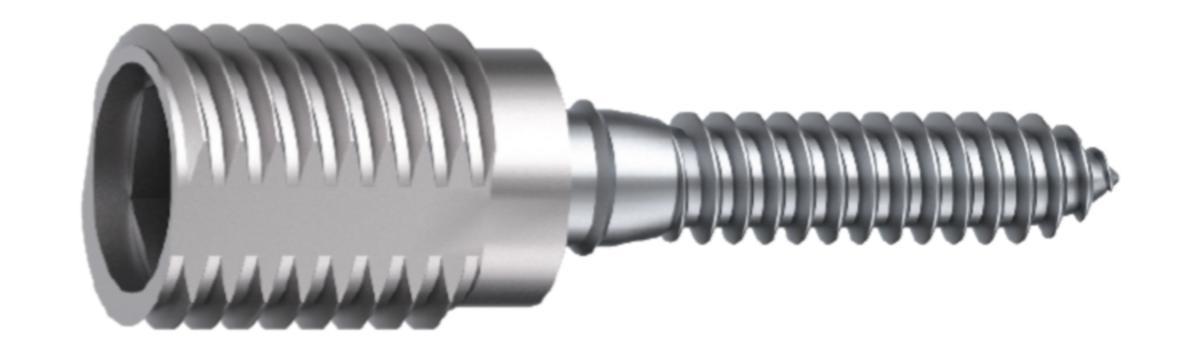 Karmiruuvi holkilla - KARMIRUUVI HOLKILLA 70MM