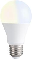 LED-lamppu Shelly
