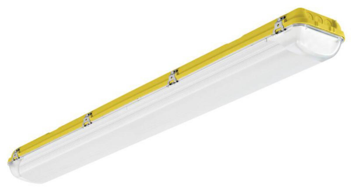 ATEX-valaisin I-Valo ACQUEx TA Ex - ATEX-VALAISIN ACQUEx TA Ex 10349132 IP66 6000 4K PC