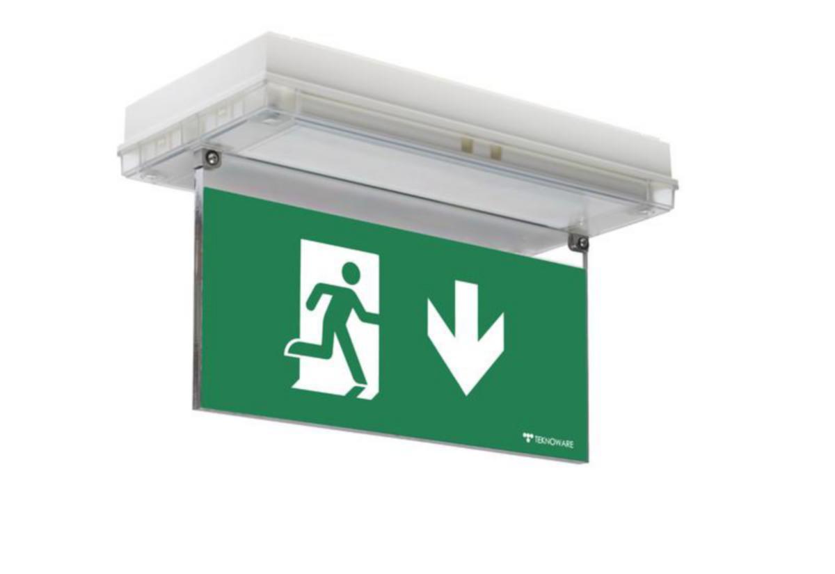 Opastevalaisin Teknoware Solid Exit 2 oikealle/vasemmalle/alas - OPASTEVALAISIN SOLID EXIT 2 Y3171W143 24-230V 30M O/V 2-P