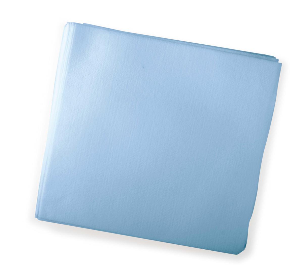 Yleisliina Nilfisk - YLEISLIINA SININEN NILFISK 380X400MM 50/PAKK