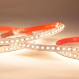 LED-nauha FTlight 12V IP20/IP65